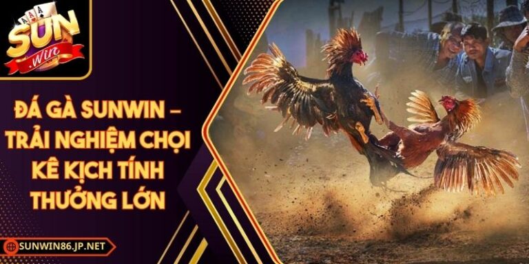 Đá Gà Sunwin – Trải Nghiệm Chọi Kê Kịch Tính Thưởng Lớn 2 Đá Gà Sunwin